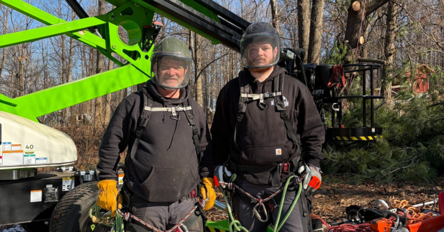 Tree Removal Permits in Adams County, PA: What Homeowners Need to Know