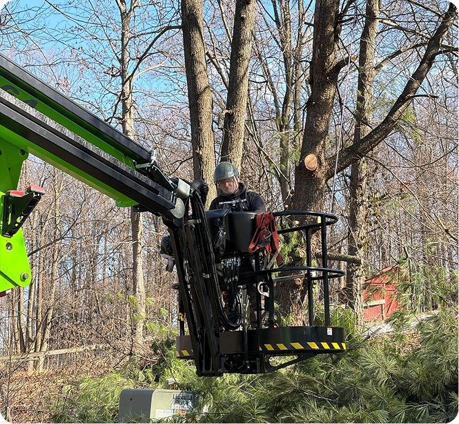 Tree service worker in crane lift