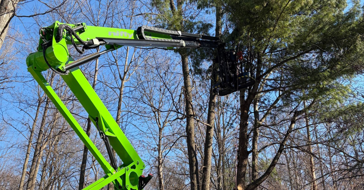 Professional tree pruning crew removing a diseased limb from a mature tree in Cumberland County, PA